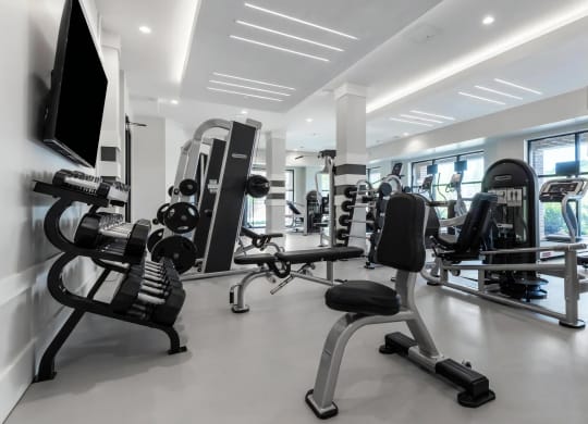 Fully-Equipped Fitness Center with Strength Training Options