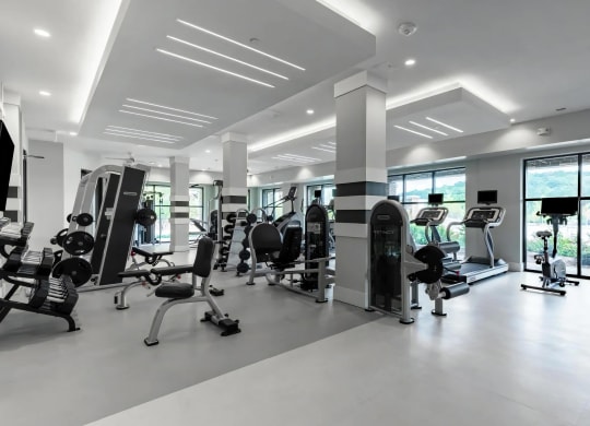 Full-Service Fitness Studio with Cardio and Strength Equipment