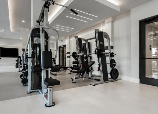 Strength Training Area with Multi-Use Weight Machines