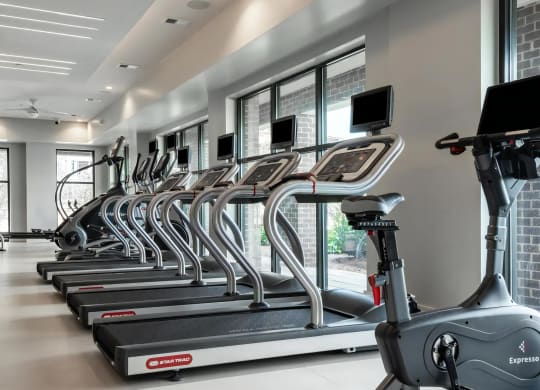 Cardio-Focused Fitness Studio with Row of Treadmills and Ellipticals
