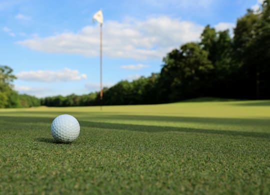 Tee Off Just Minutes Away at Franklin Bridge Golf Course Near The Harper