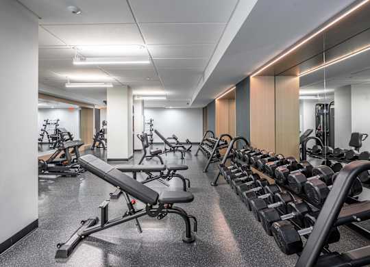 A gym with a variety of equipment including dumbbells and weight machines.