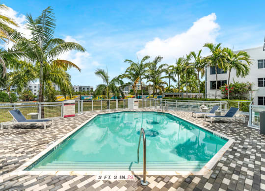 Pool Area with Lounge Chairs, Tile Decking, and Palm Tree Views in Courtyard Setting