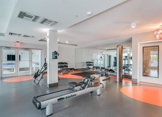 Gym with Free Weights, WaterRower, and Inversion Benches for Full Body Training
