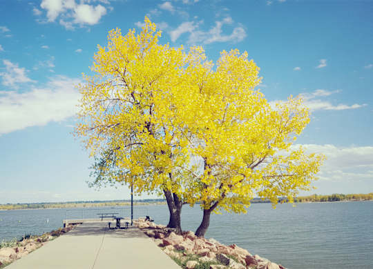 Cherry Creek State Park