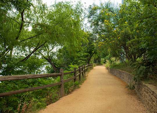 Lady Bird Lake Trail