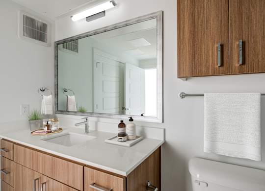 a bathroom with a mirror and a sink and a toilet