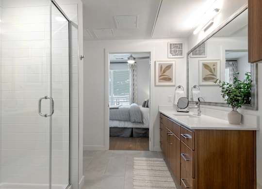 A bathroom with a walk-in shower and a vanity with a mirror.