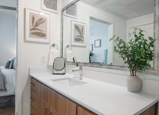 A bathroom with a white countertop and a potted plant.