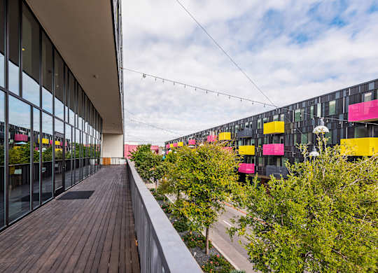 A long wooden walkway leads to a building with glass windows.