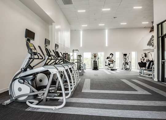 A gym with a row of treadmills and exercise bikes.