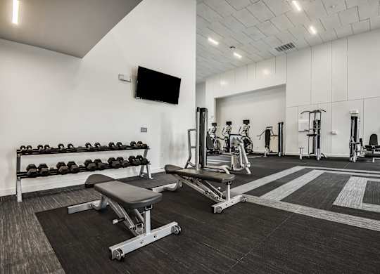 A gym with a bench, weights, and exercise equipment.
