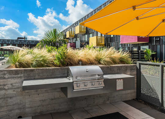 Outdoor Grills By The Pool