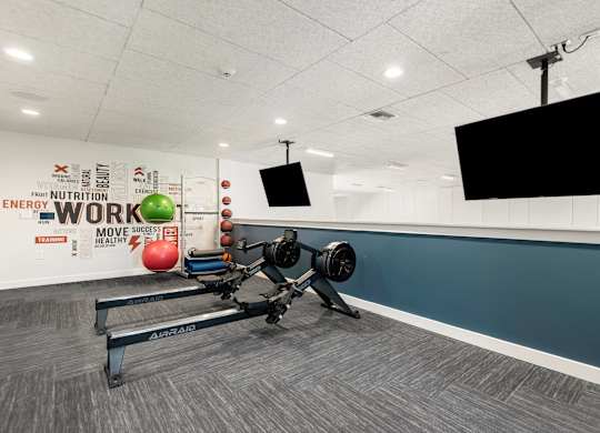 Private Fitness Studio Featuring Rowers, Medicine Balls, and Yoga Equipment