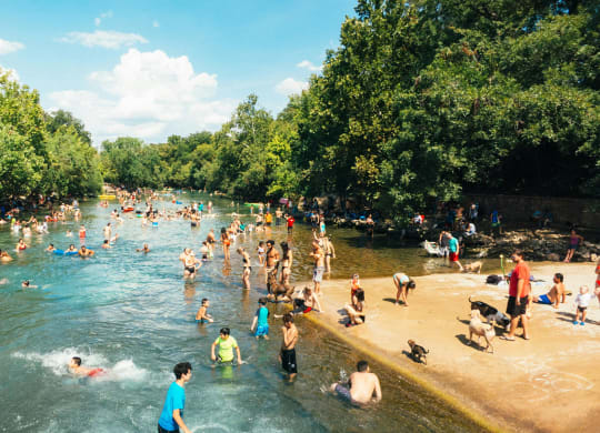 Barton Springs Municipal Pool