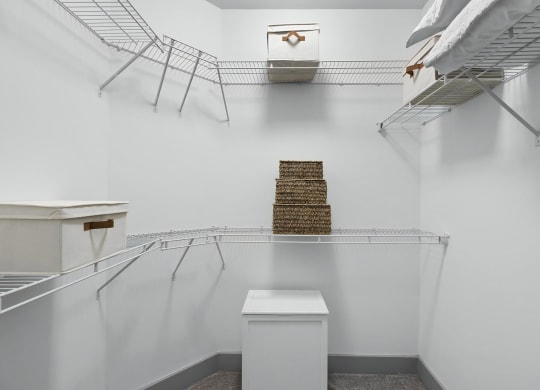 Spacious Walk-In Closet with Wire Shelving and Ample Storage
