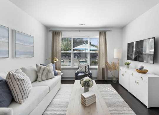 Contemporary Apartment Living Room with Plush Sofa and Accent Chair