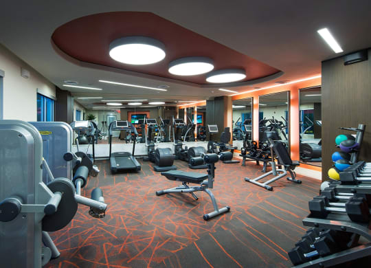 Modern Fitness Room Featuring Treadmills and Ellipticals