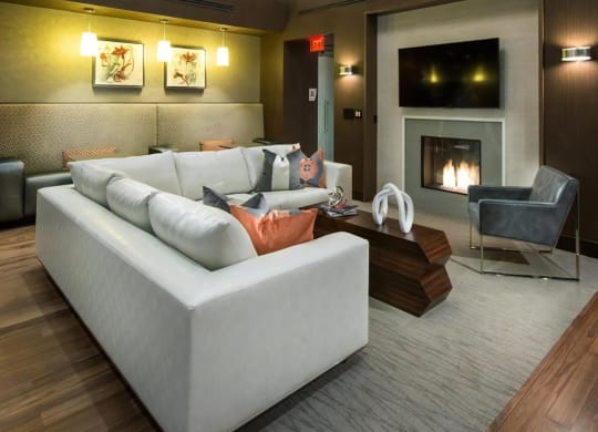 Comfortable Lounge Seating Around Fireplace & Flat-Screen TV