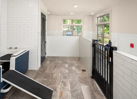 a pet spa for your fur friends
