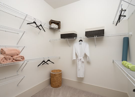 closet with robe and basket