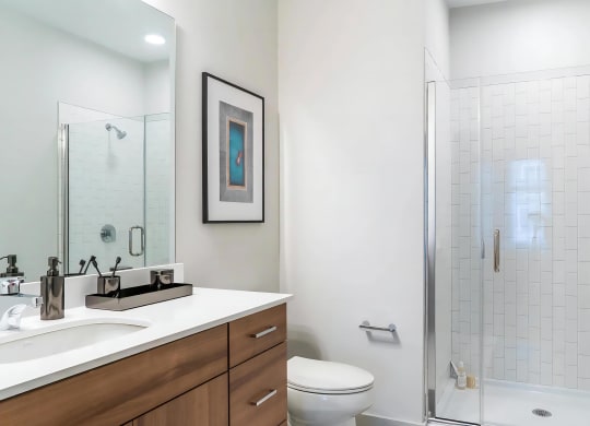 Stylish Shower with Glass Door