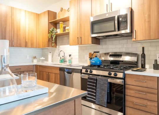 Large Kitchens with Stainless Steel Appliances