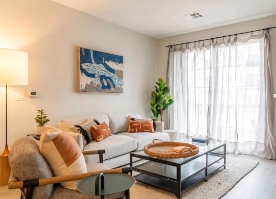 Living Rooms with Plenty of Natural Light