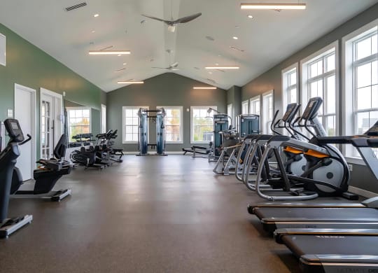 Fitness Studio with Cardio Machines and Weights