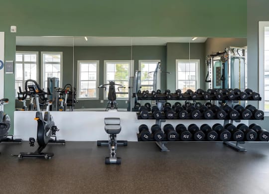 Fitness Studio with Free Weights