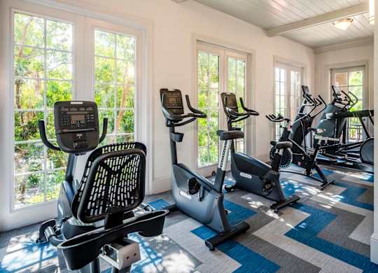 Cardio room with bikes and ellipticals surrounded by large windows and leafy views.
