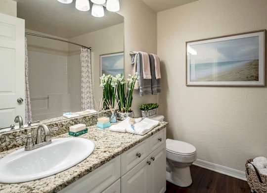 Bathroom with granite vanity, framed art and bright lighting