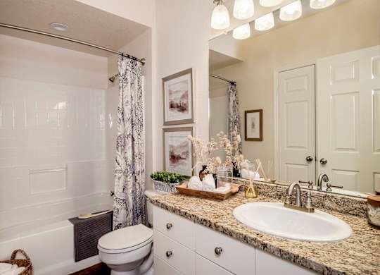 Bathroom with granite vanity, framed art and tub shower
