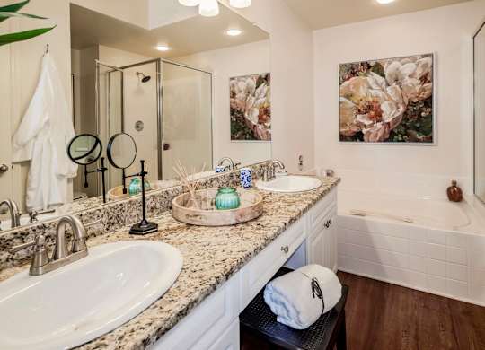 Modern bathroom with granite vanity, framed art and soaking tub