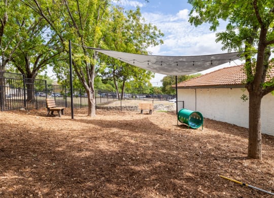take a stroll through the dog park