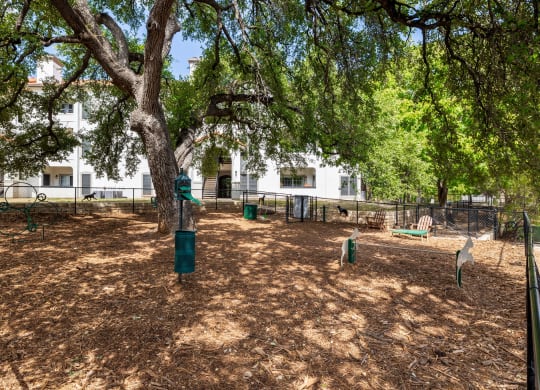 a dog park with a large tree and a playground in front of a white building