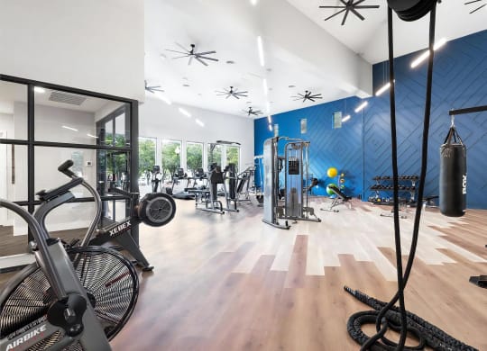 Mesa Verde Fitness Large Fitness Center with Ropes Punching Bag Airdyne and Cable Machine