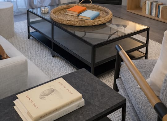 Model Home Cozy Gas Fireplace