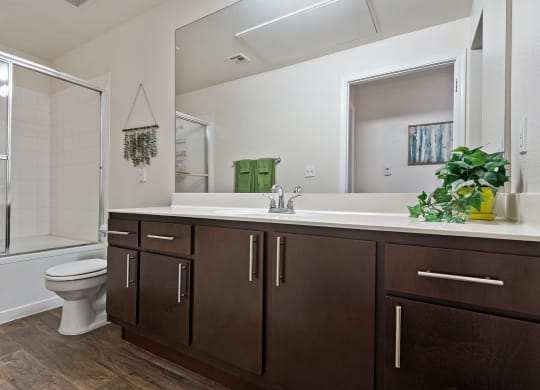 Mountainside Bathroom Luxurious Bathrooms with Large Showers