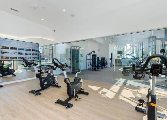 Fitness Studio with Cardio and Weight Machines