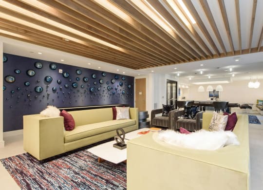 Large Lounge with Couches