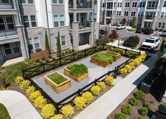 Outdoor Resident Herb Garden