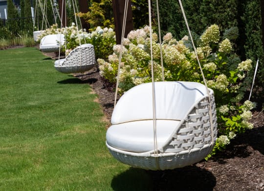 Outdoor Green Space with Hammock Chairs