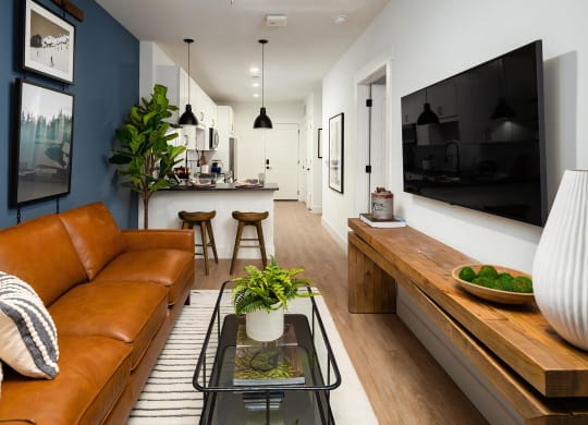 Modern Open Plan Concept for Living and Dining Areas