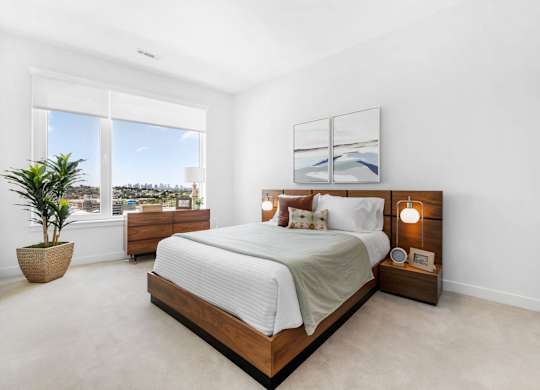 A bedroom with a large bed and a potted plant.