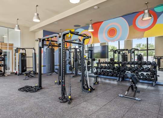 A gym with a variety of equipment including weights and machines.