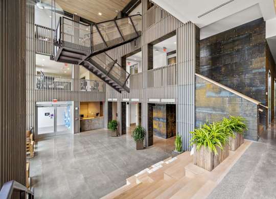 A modern interior with a staircase and a plant.