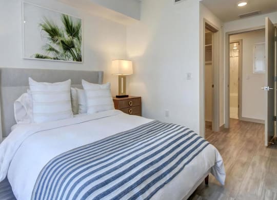Spacious Bedroom With Walk In Closet
