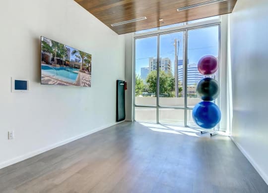 Designated Yoga Studio