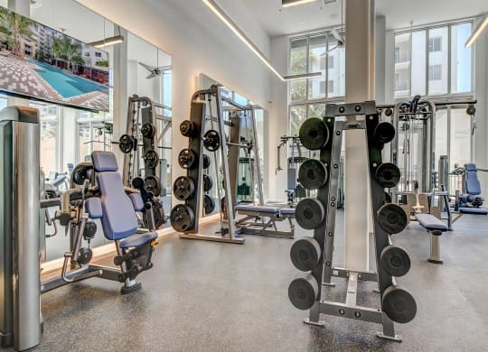 Full Fitness Studio with Weights